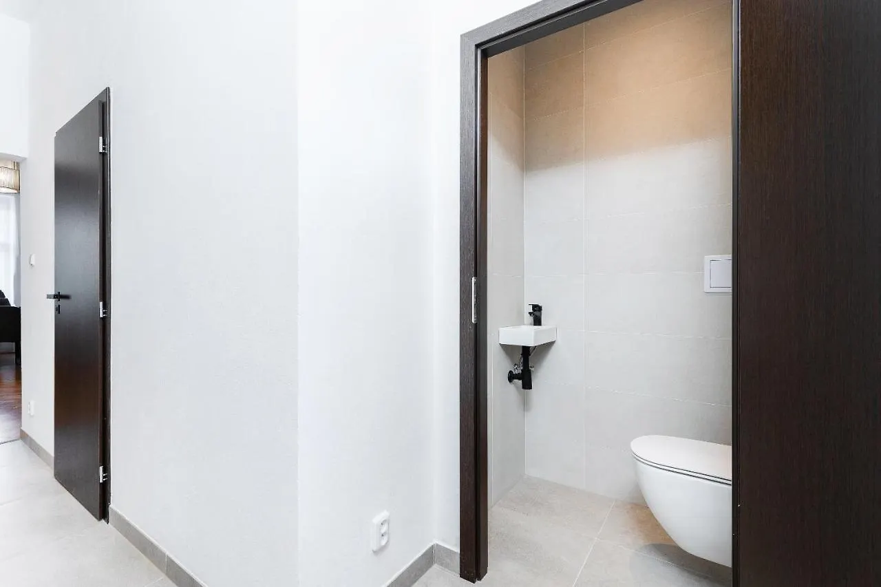 Spacious Apartment Near Prague Center